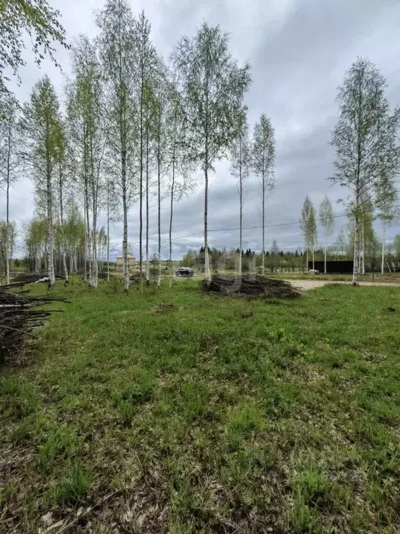 Участок в Пермский край, Добрянский городской округ, д. Залесная  ... - Фото 0