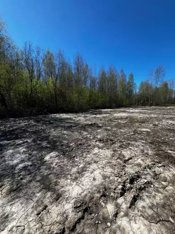 Участок в Ленинградская область, Лодейное поле ш. Ленинградское, 60 ... - Фото 0