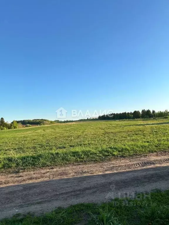 Участок в Пермский край, д. Большой Буртым тракт Сибирский, 49 (6.0 ... - Фото 1