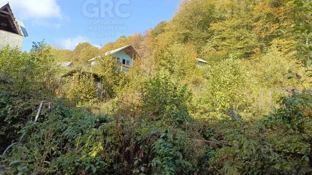Участок в Краснодарский край, Сочи городской округ, с. Пластунка, ... - Фото 1