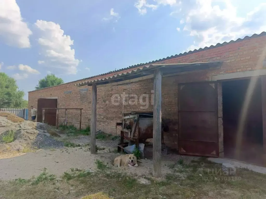 Помещение свободного назначения в Белгородская область, Новооскольский ... - Фото 1