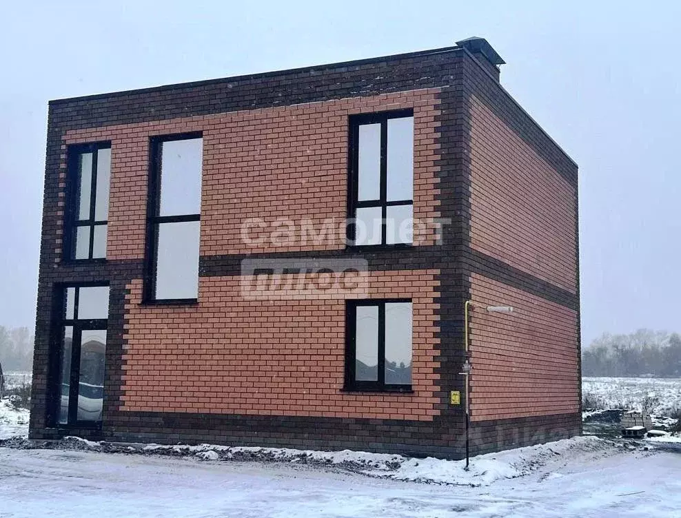 Дом в Алтайский край, Барнаул городской округ, с. Власиха ул. ... - Фото 2