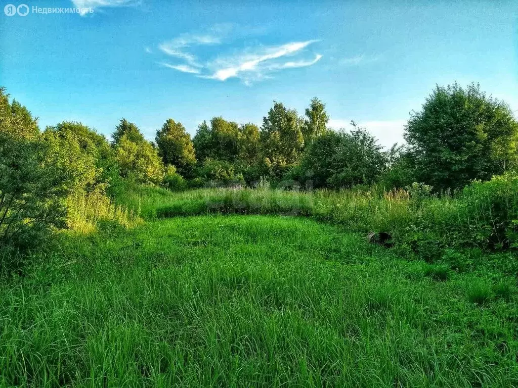 Участок в Ярославская область, Переславль-Залесский муниципальный ... - Фото 1