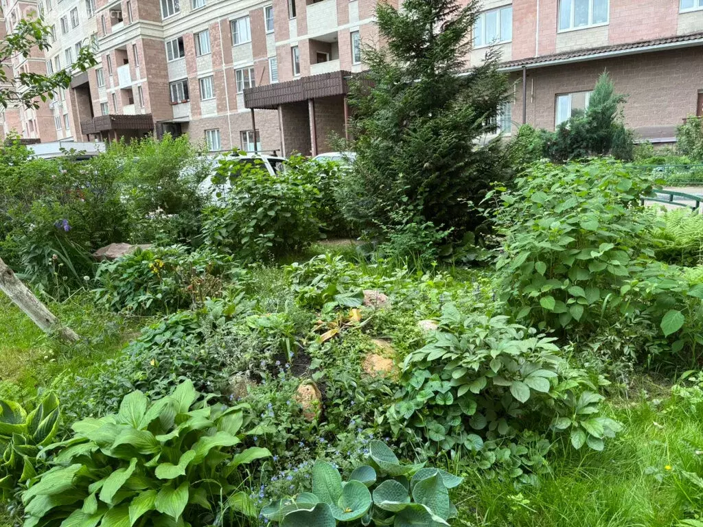 1-комнатная квартира: Подольск, улица Генерала Варенникова, 4 (39.3 м) - Фото 1