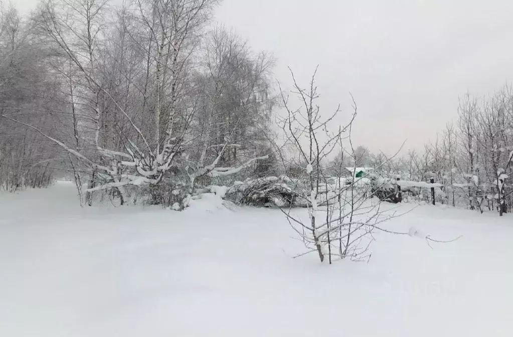 Участок в Московская область, Дмитровский муниципальный округ, д. ... - Фото 0