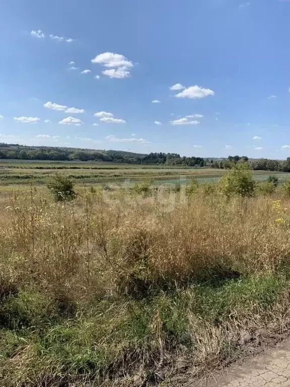 Участок в Белгородская область, Яковлевский городской округ, Красный ... - Фото 1