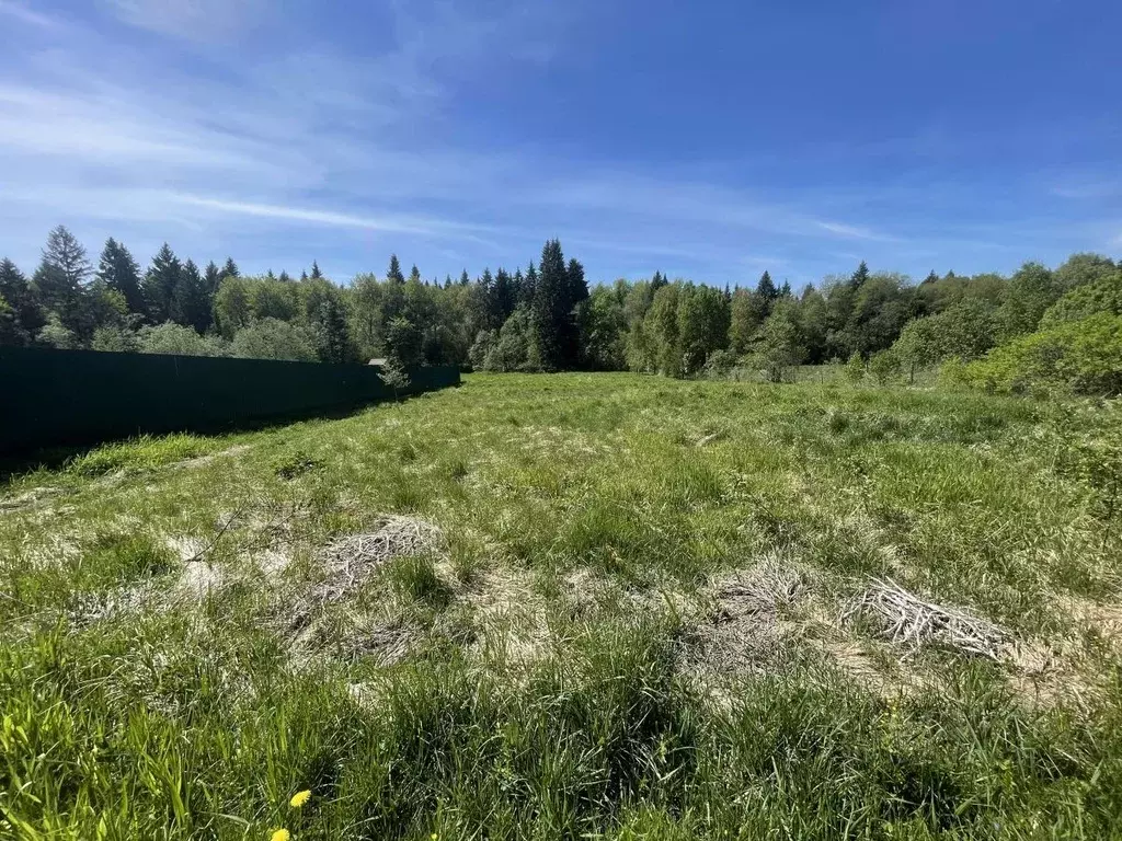 Участок в Московская область, Сергиево-Посадский городской округ, д. ... - Фото 1