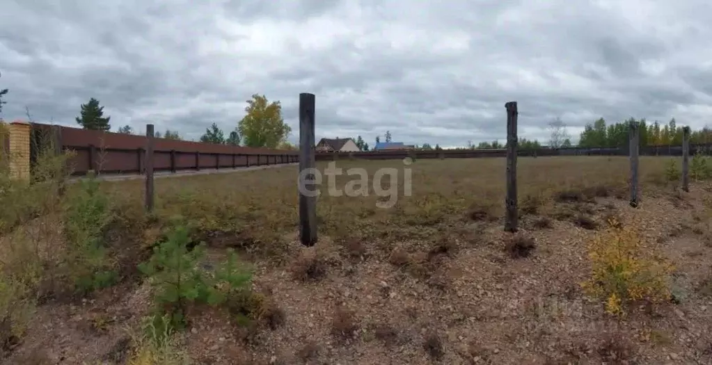 участок в забайкальский край, читинский район, шишкино-остров днт . - Фото 0