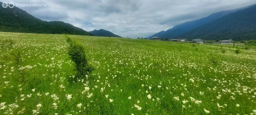 Участок в Владикавказ, СНТ Надежда (20 м) - Фото 1