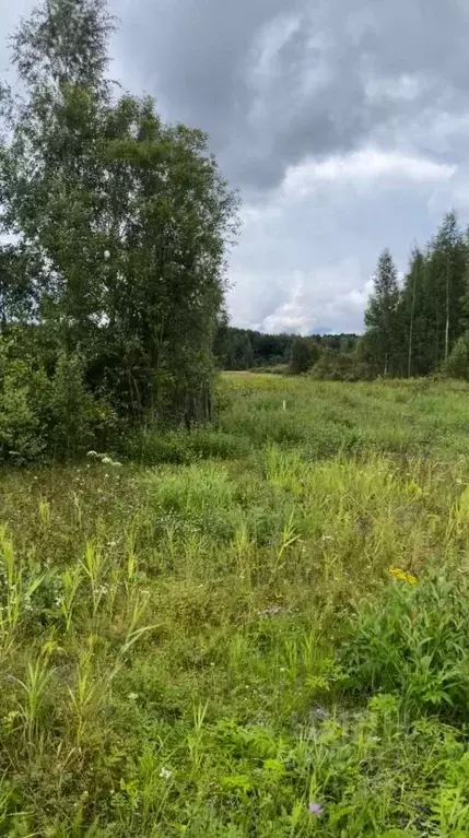 Участок в Ленинградская область, Всеволожск ул. Анатолия Молчанова ... - Фото 0