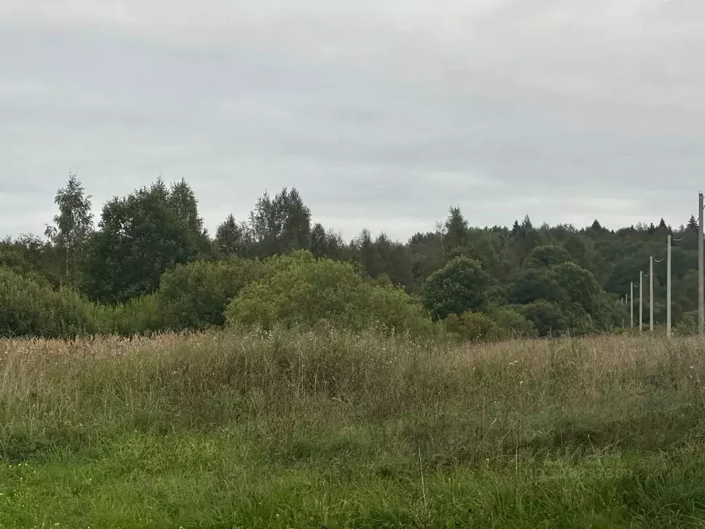 Участок в Московская область, Сергиево-Посадский городской округ, ... - Фото 2