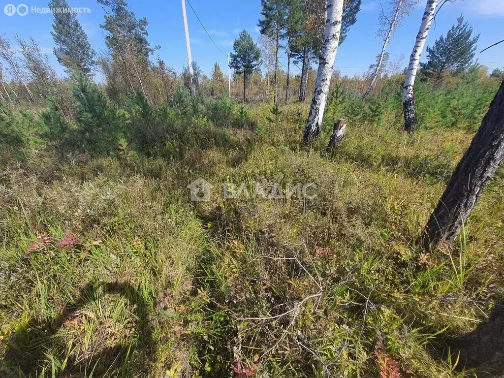 Участок в Железнодорожное муниципальное образование, деревня Старая ... - Фото 1