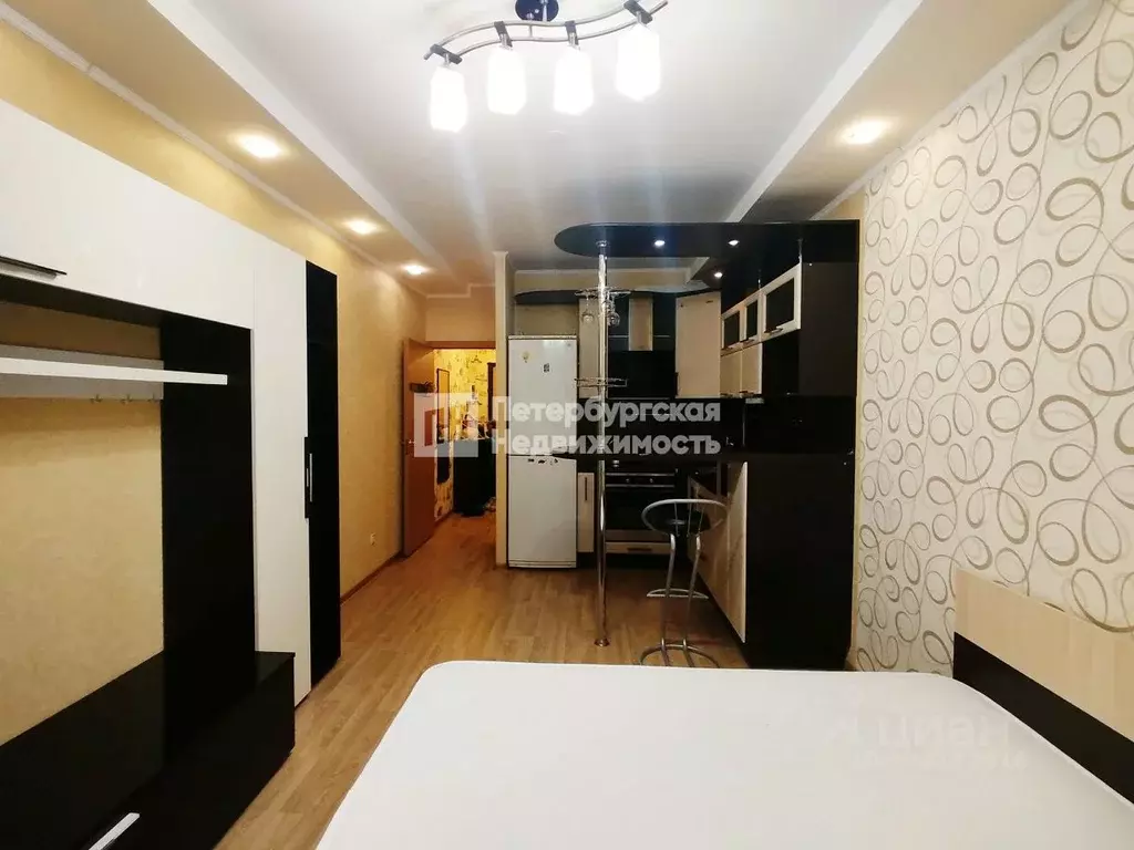 Студия Санкт-Петербург ул. Адмирала Трибуца, 7 (24.2 м) - Фото 1