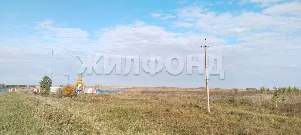 Участок в Новосибирская область, Колывань рп ул. Трактовая (10.0 сот.) - Фото 1
