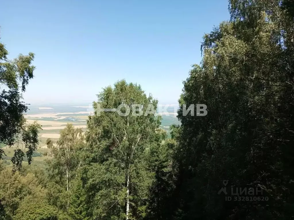 Участок в Алтайский край, Смоленский район, с. Сычевка  (0.5 га.) - Фото 2