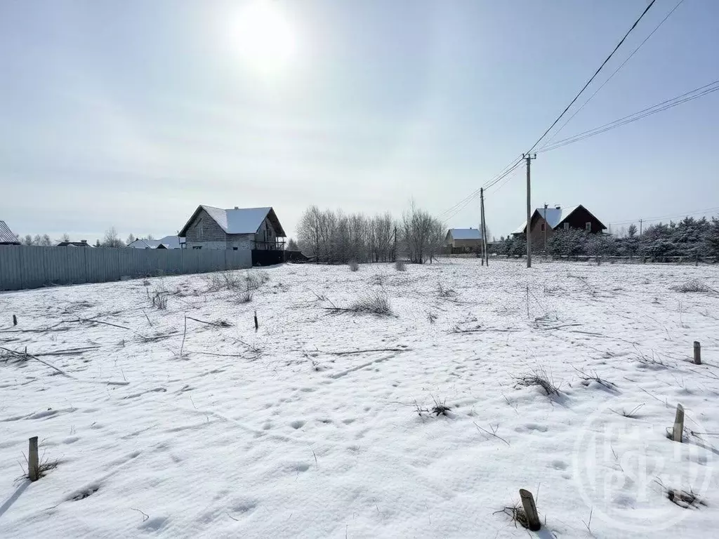 Участок в Ленинградская область, Гатчинский муниципальный округ, Новое ... - Фото 2