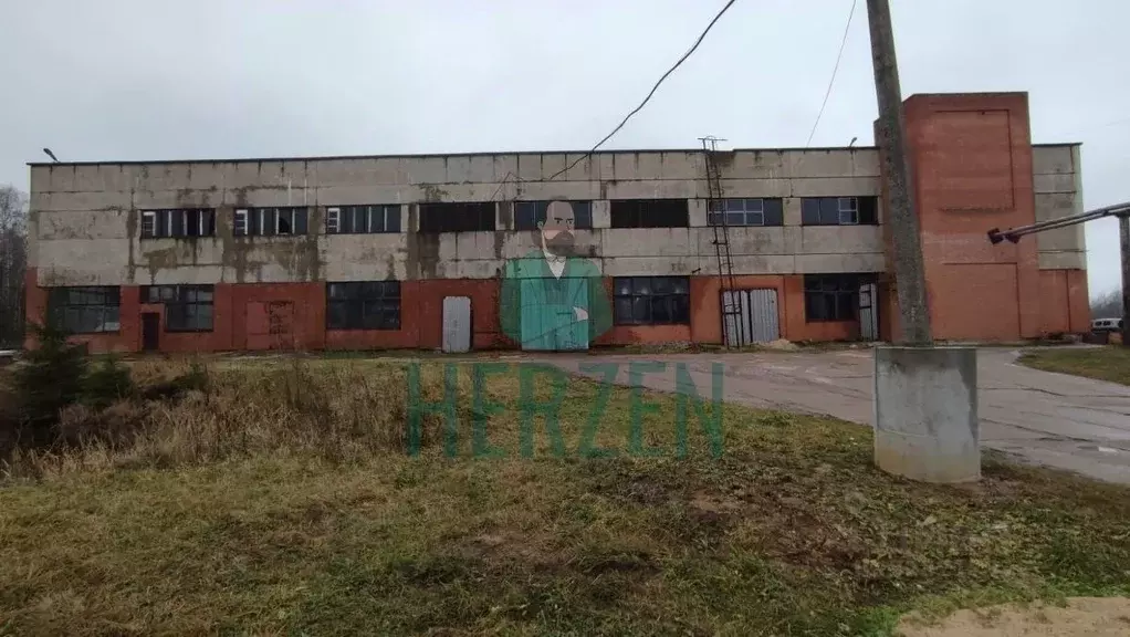 Производственное помещение в Московская область, Чехов муниципальный ... - Фото 2