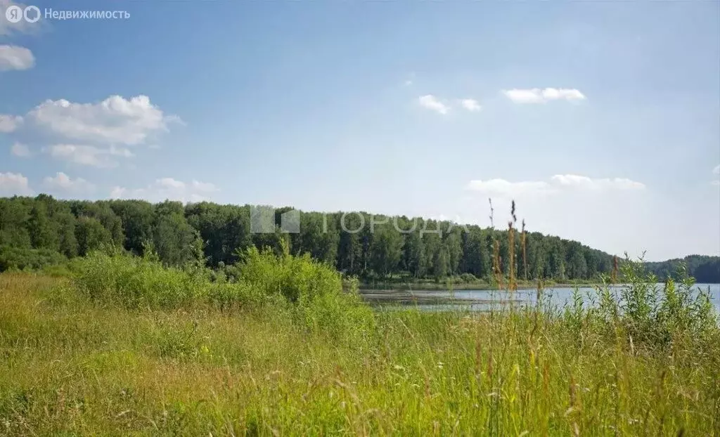 Участок в Новосибирский район, Берёзовский сельсовет, ТСН Тандем, ... - Фото 2