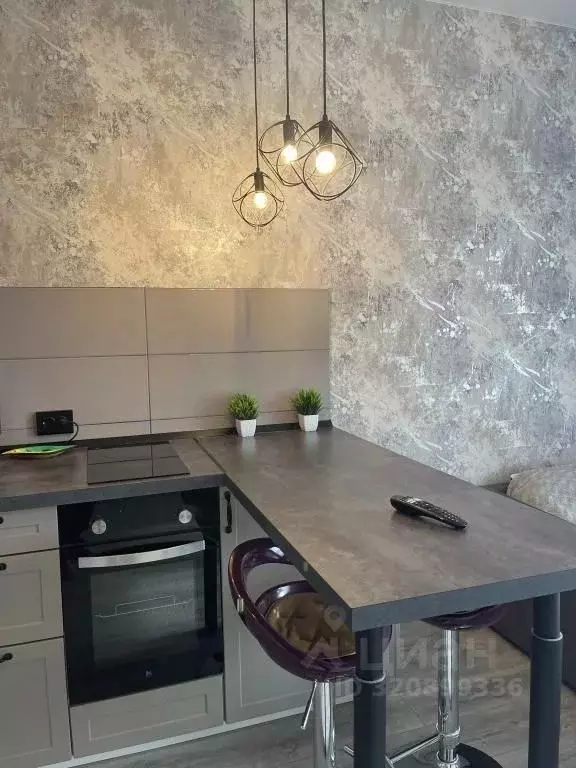 1-к кв. Санкт-Петербург пос. Шушары, просп. Старорусский, 8к1 (27.0 м) - Фото 1