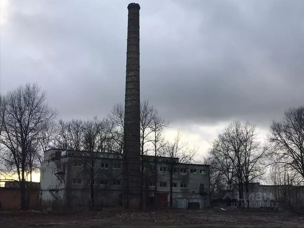 Помещение свободного назначения в Ленинградская область, Кингисепп ... - Фото 1