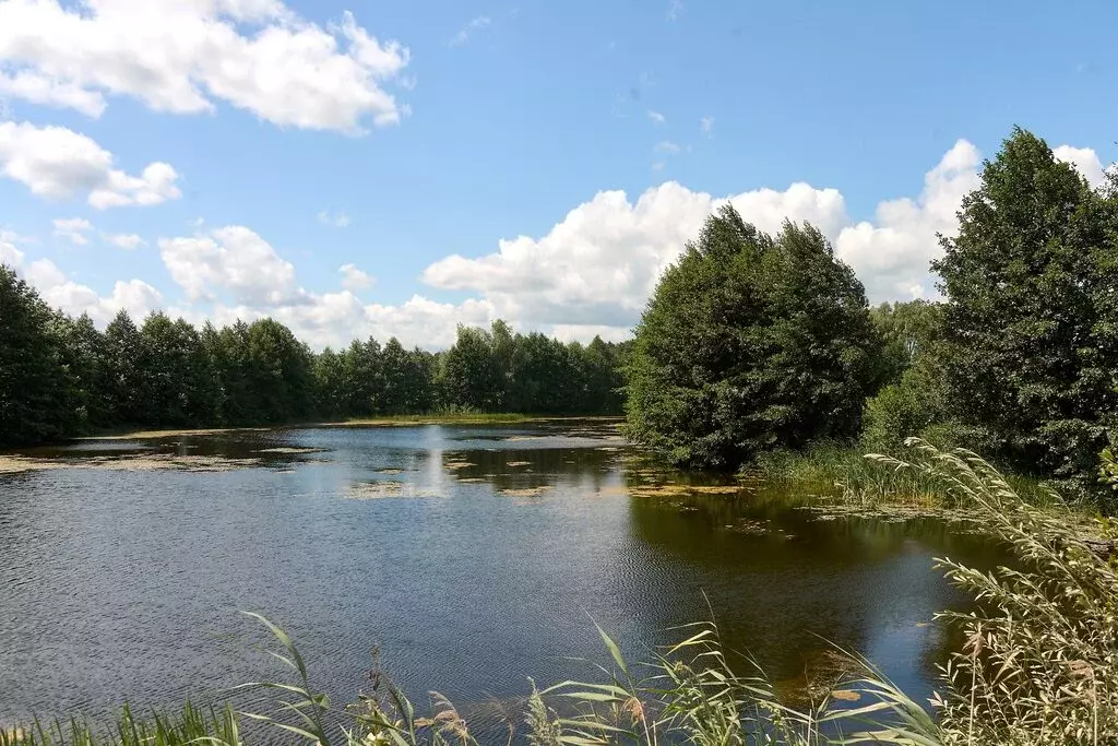 Дом в Мармылево, коттеджный комплекс Премьера № 2, коттеджный посёлок ... - Фото 1