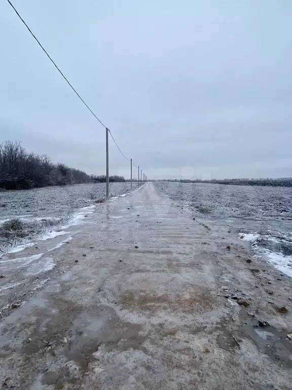Участок 3 сот. (ИЖС) - Фото 0