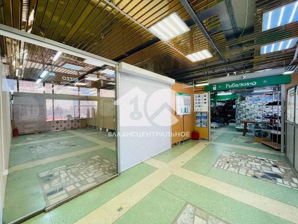 Торговая площадь в Новосибирская область, Новосибирск ул. Кропоткина, ... - Фото 1