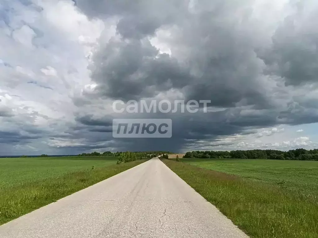 Участок в Рязанская область, Рыбновский муниципальный округ, с. ... - Фото 2