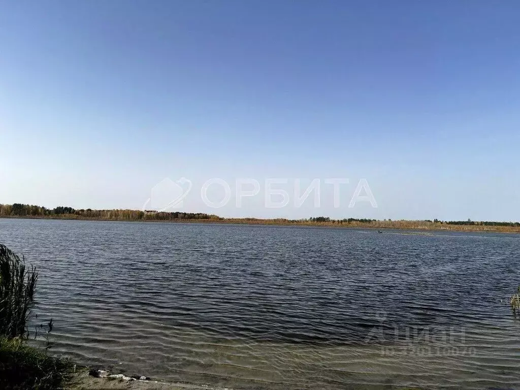 Участок в Тюменская область, Тюменский район, Дачи Хюгге ДНТ ул. ... - Фото 1