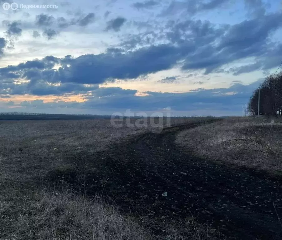 Участок в Чернский район, сельское поселение Северное, деревня Поповка ... - Фото 1