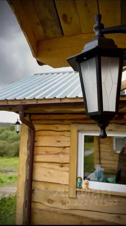 Дом в Челябинская область, Нязепетровск ул. Осипенко, 4 (38 м) - Фото 1