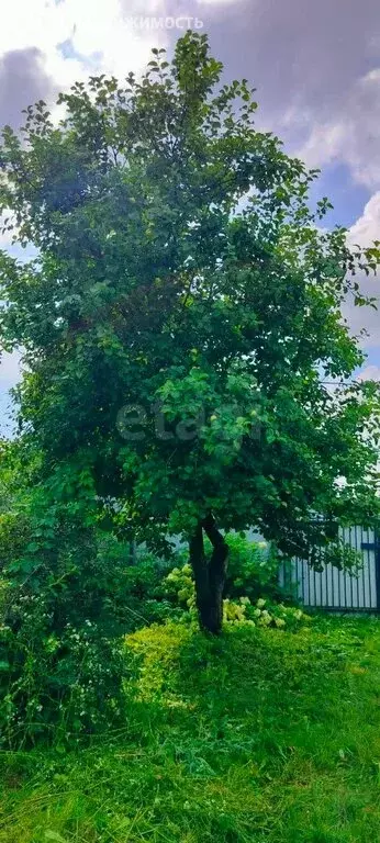 Дом в Наро-Фоминский городской округ, садоводческое некоммерческое ... - Фото 0