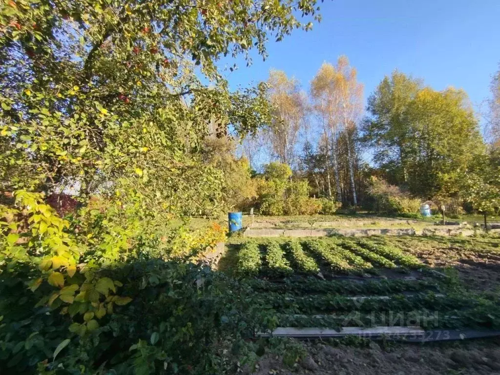 Участок в Костромская область, Костромской район, Бакшеевское с/пос, ... - Фото 1
