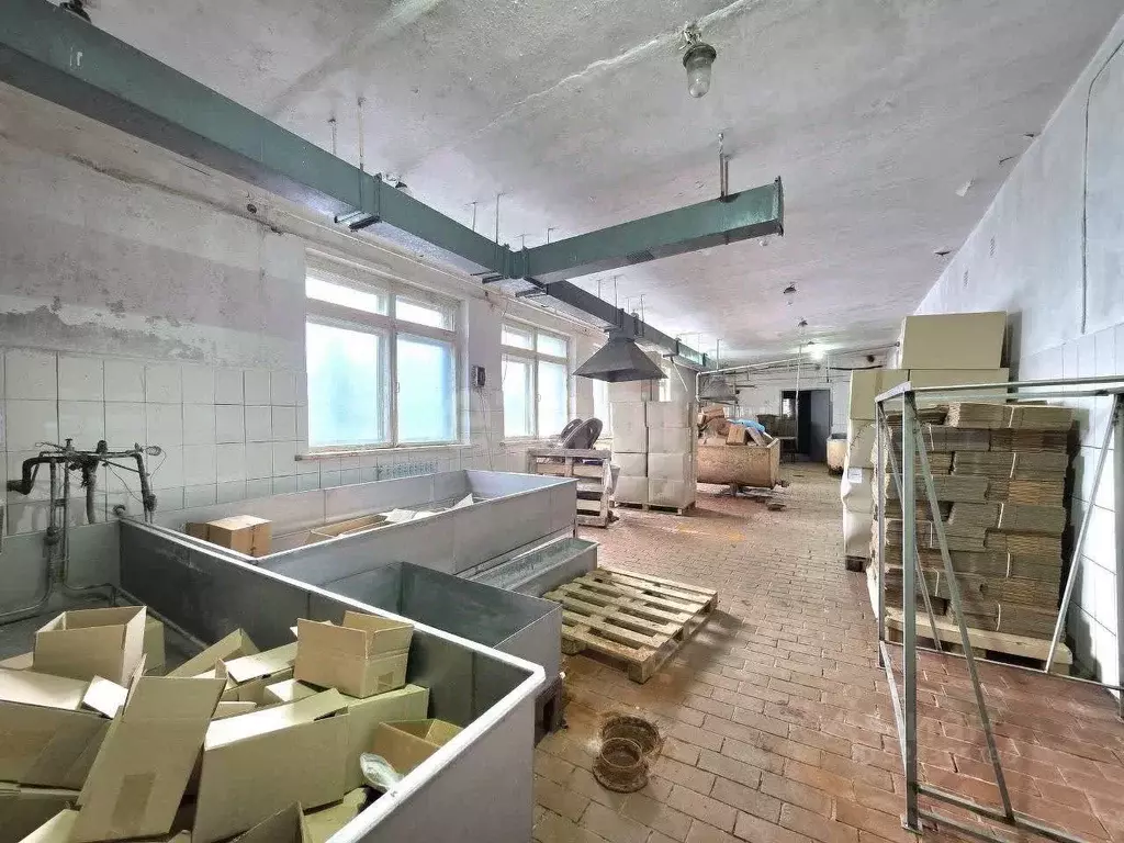 Склад в Калужская область, Тарусский муниципальный округ, с. ... - Фото 1