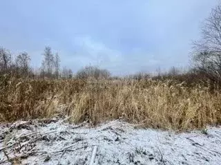 Участок в Тюменская область, Нижнетавдинский муниципальный округ, ... - Фото 1