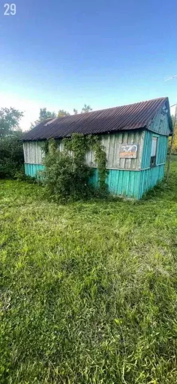 Участок в Санкт-Петербург, Санкт-Петербург, Павловск Славяночка-2 СНТ, ... - Фото 2