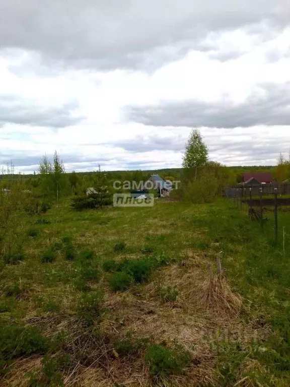 Участок в Владимирская область, Судогодский район, Головинское ... - Фото 0