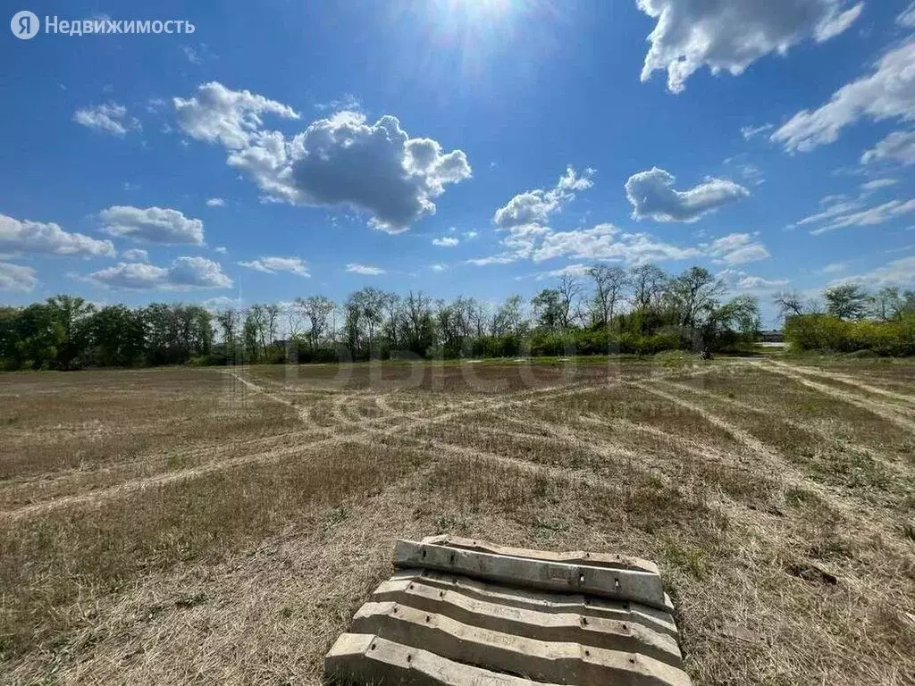 Участок в село Новая Усмань, микрорайон Соловьиный (10 м), Купить земельный  участок Новая Усмань, Новоусманский район, ID объекта - 20007067696