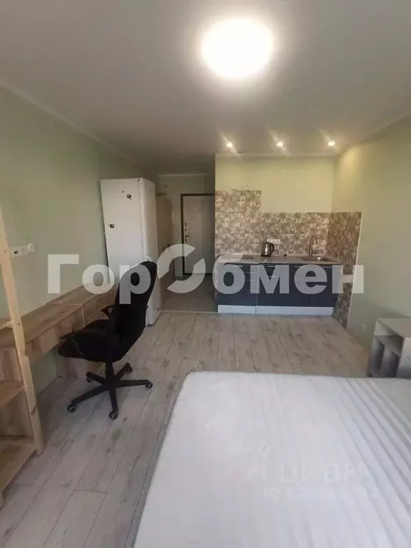 1-к кв. Московская область, Ленинский городской округ, Лопатино пгт ... - Фото 2