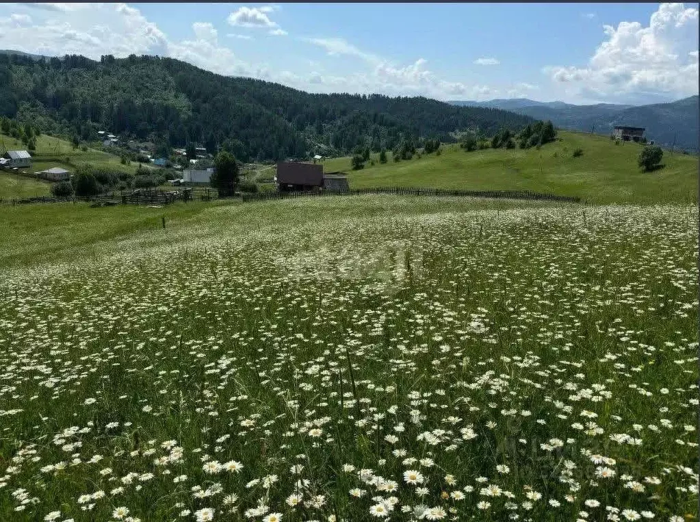 Участок в Алтай, Майминский район, с. Кызыл-Озек ул. Калиновая, 48 ... - Фото 1