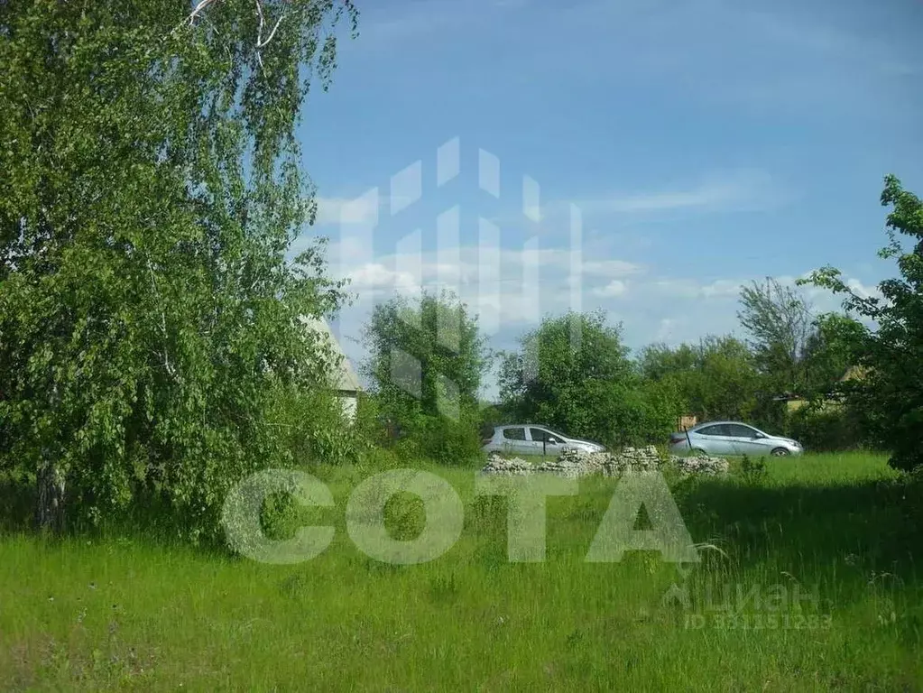 Участок в Воронежская область, Воронеж Строитель СНТ, ул. 10-я, 134 ... - Фото 2
