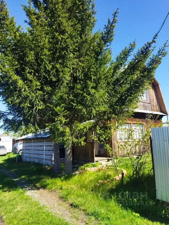 Дом в Башкортостан, Чишминский район, Алкинский сельсовет, Алкино СНТ ... - Фото 1