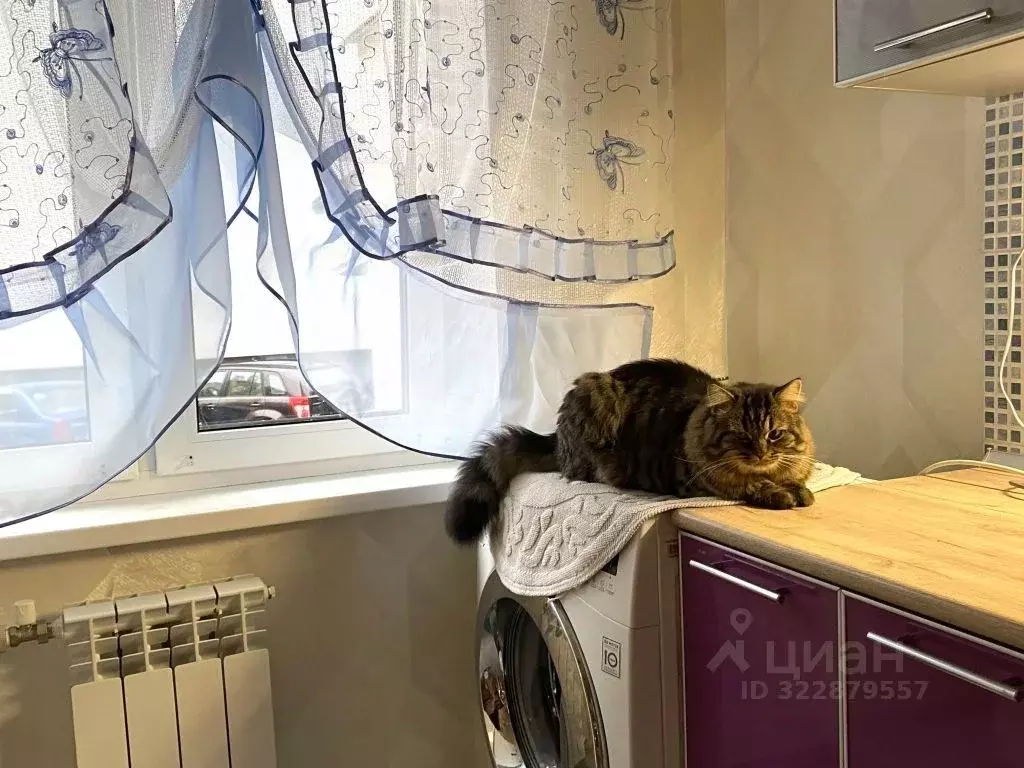 3-к кв. Нижегородская область, Нижний Новгород ул. Исполкома, 11 (65.0 ... - Фото 2