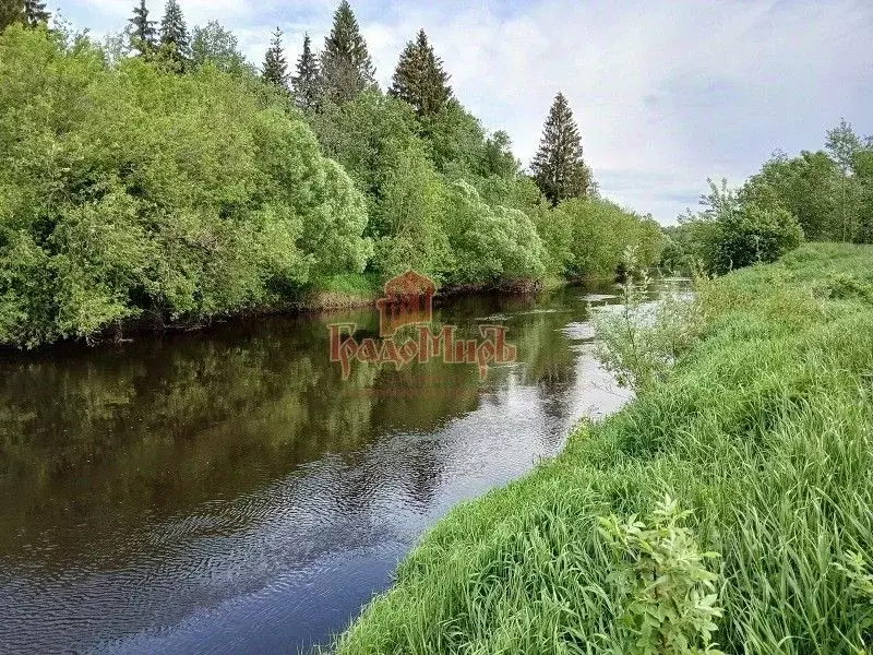 Участок в Московская область, Талдомский городской округ, с. ... - Фото 0