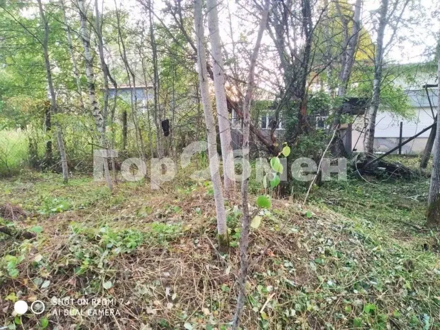 Участок в Московская область, Богородский городской округ, Нерудник ... - Фото 1