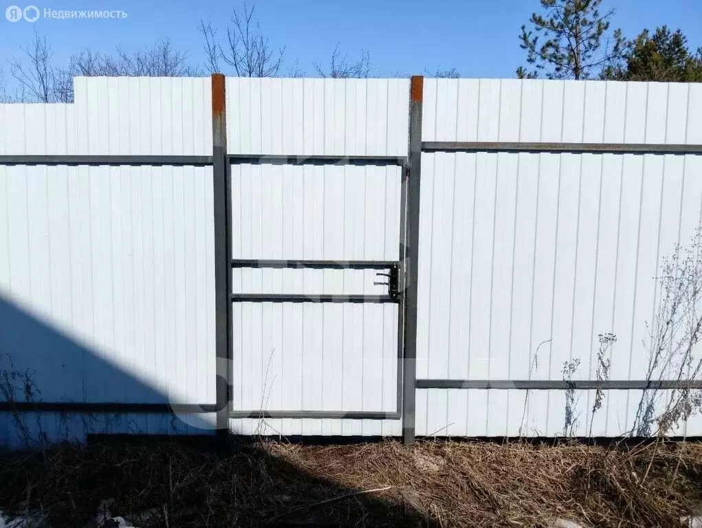 Дом в Рамонский район, Новоживотинновское сельское поселение, деревня ... - Фото 2