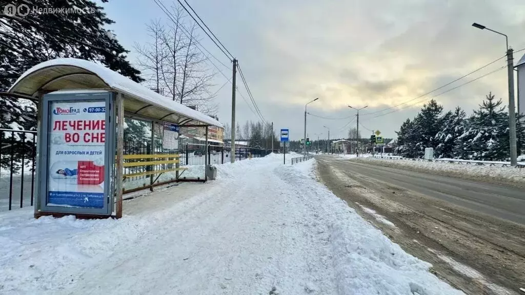 1-комнатная квартира: Ярославский муниципальный округ, деревня ... - Фото 2