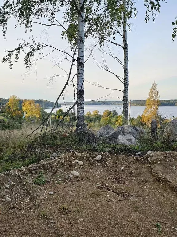 Участок 20 сот. (СНТ, ДНП) - Фото 0
