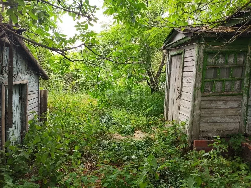 Дом в Ростовская область, Багаевский район, Манычская ст-ца Донская ... - Фото 1