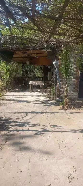 Участок в Ростовская область, Таганрог Рассвет садовое товарищество,  ... - Фото 1